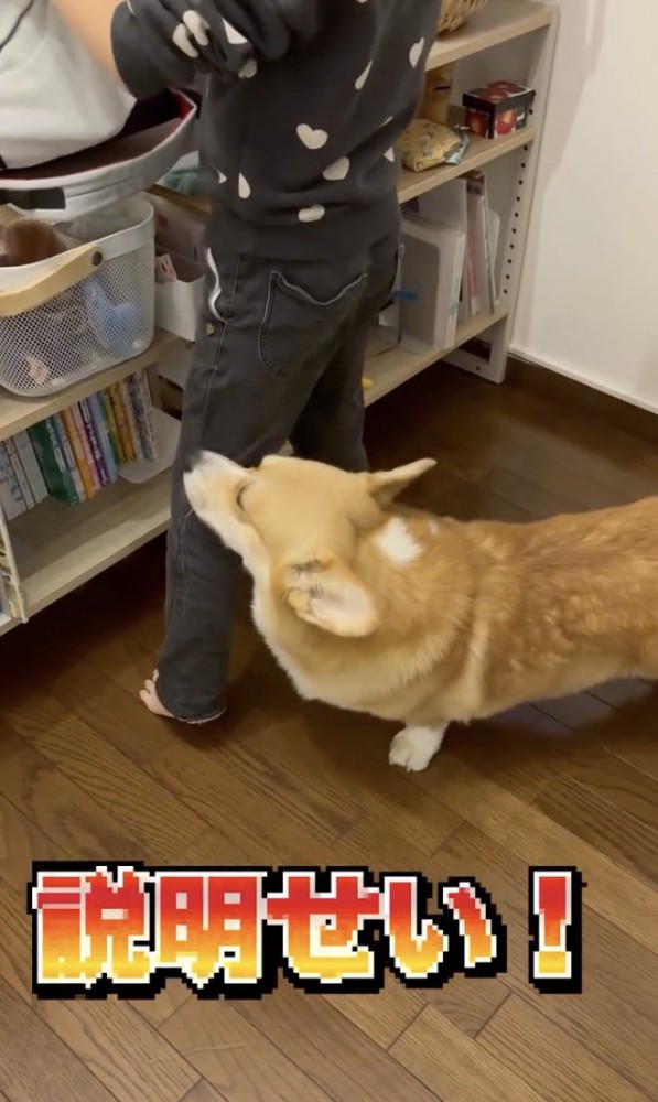 「どういうこと!?」