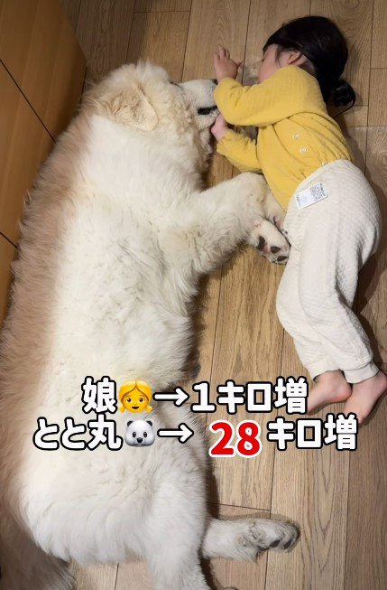 成長曲線違いすぎる…!!
