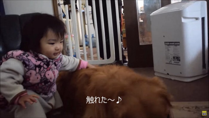 よろこぶ子供と犬