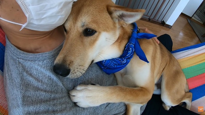 だんだん柔らかい表情に♪