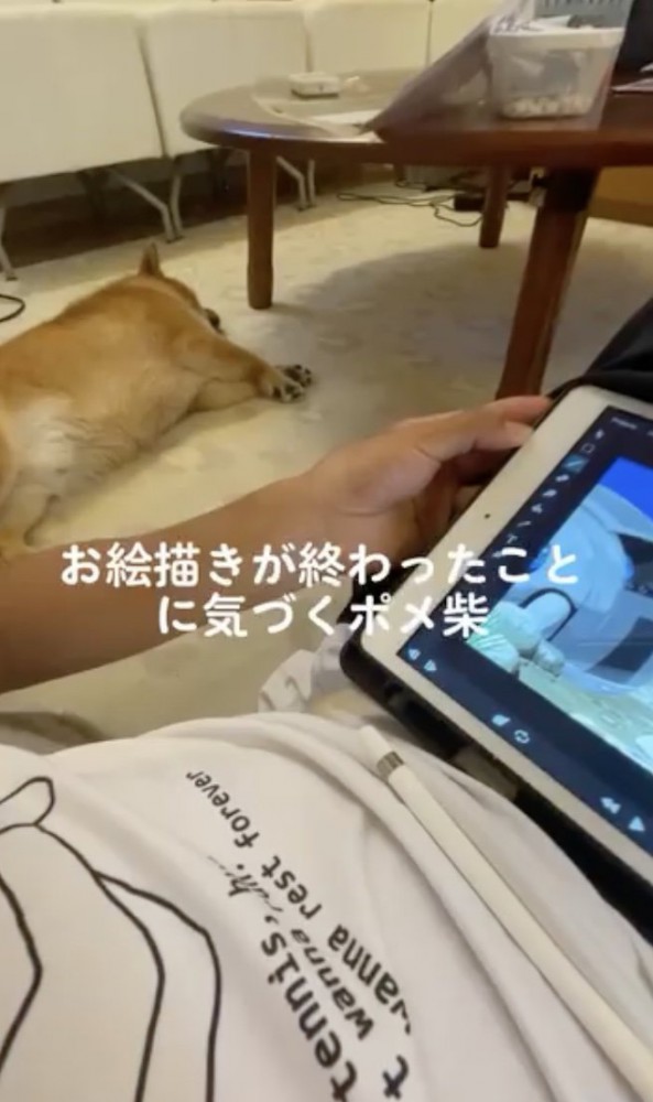 ZZZ…