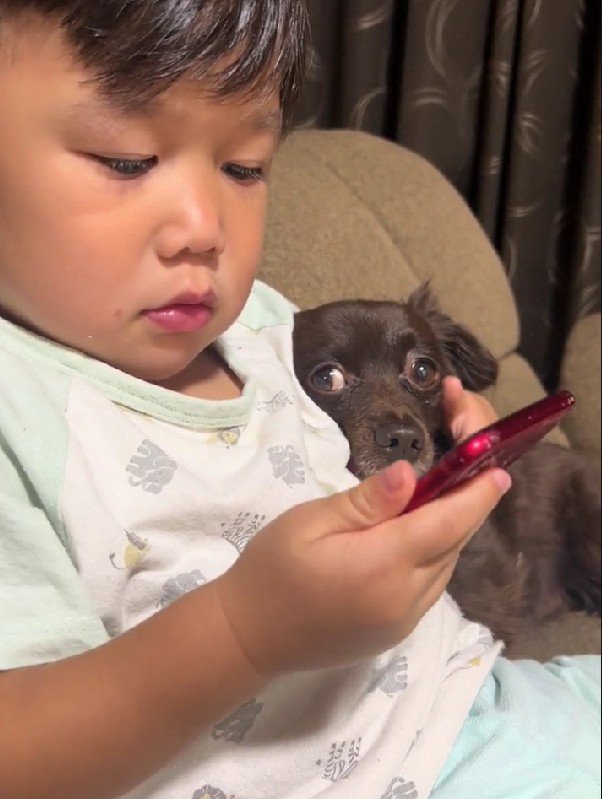 完全に守られているどんちゃん…
