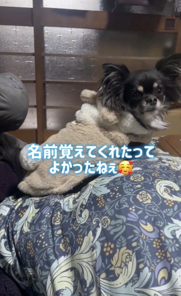 ママの言葉を聞いてます