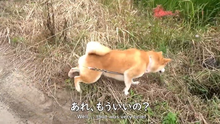 意外と冷めるのが早い(笑)