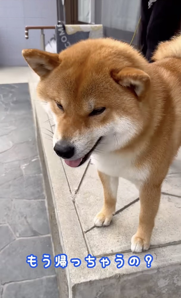 「早くない？」