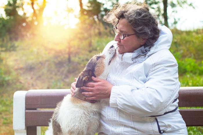 女性に穏やかに話しかけられて甘える犬