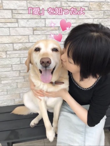 人に抱きしめられる犬