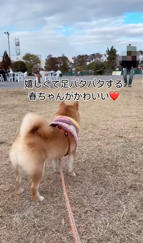 ご家族を見つめる春ちゃん