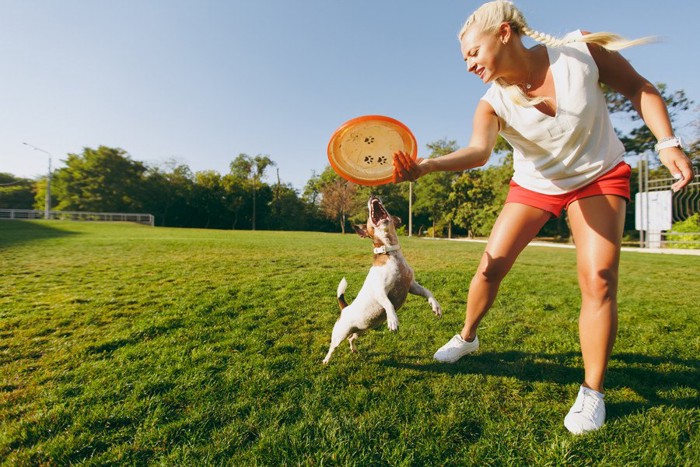 フリスビーで遊ぶ犬と女性