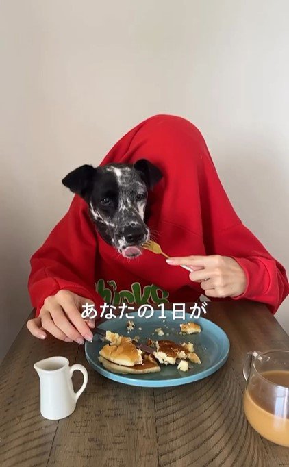 飼い主さんとの楽しいお食事タイム