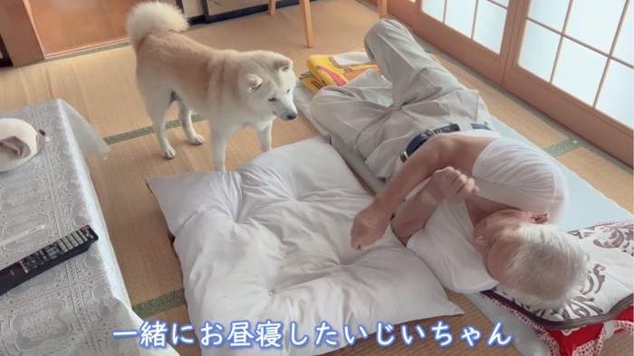 おじいちゃんを見る犬