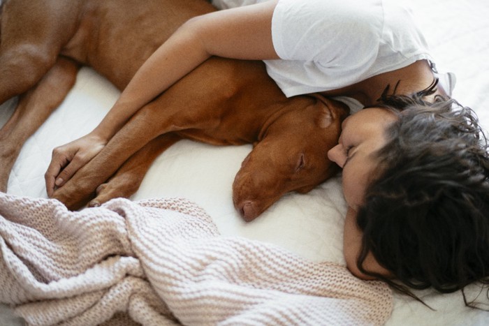 ベッドで一緒に眠る犬と女性