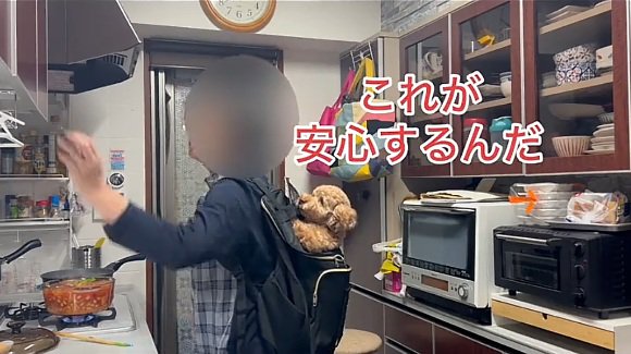 安心するバッキーくん