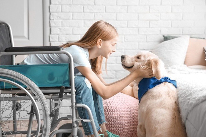 車いすの女の子と犬