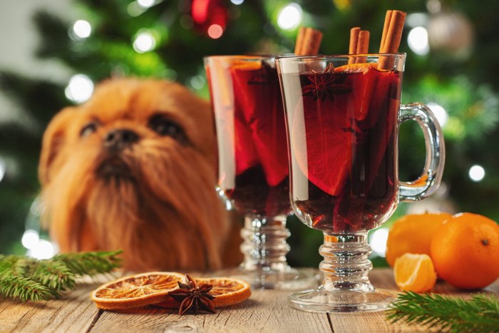 クリスマス料理を目の前にする犬