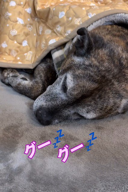 ポカポカで心地いいね