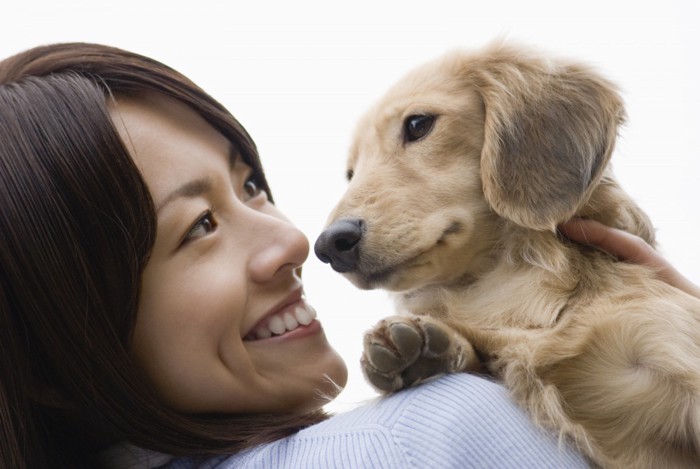 犬と飼い主