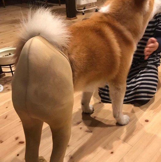 なんだかクセになる！？