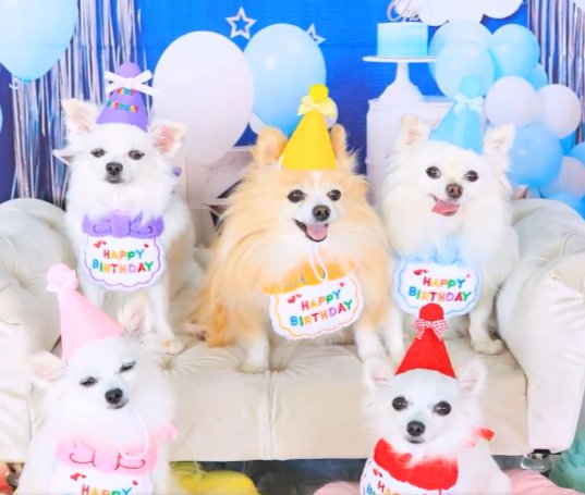 お誕生日