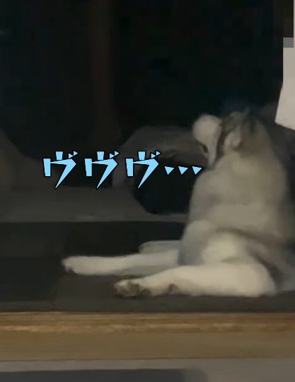 パパが帰宅したとき