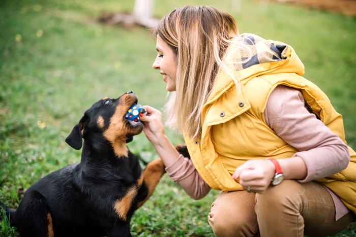 犬とボールで遊ぶ女性