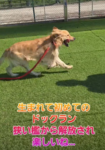 穏やかな毎日になった