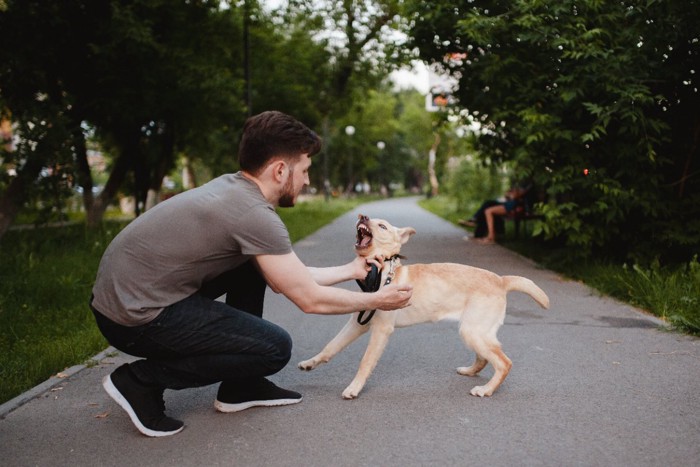 怒る犬を押さえつけようとする男性