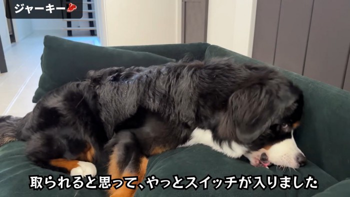 「取られる！」と焦ってパクッ