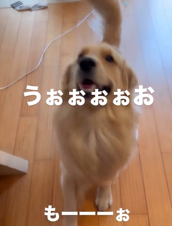 抗議する福ちゃん