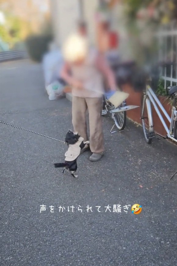 大騒ぎするまろちゃん