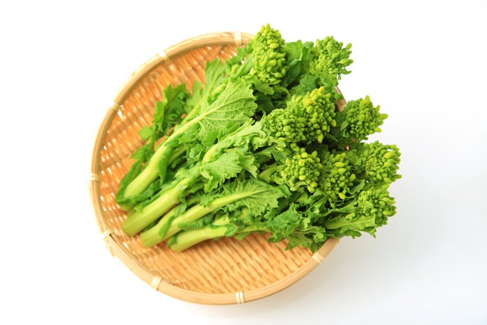 ざるに置かれた食用の菜の花