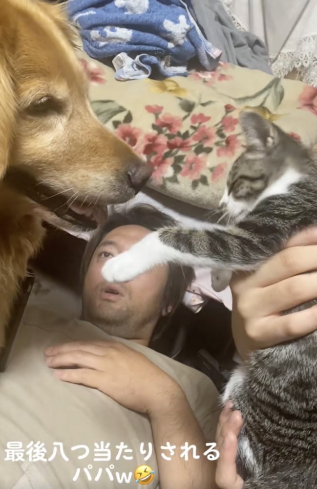 なぜパパの上なのか