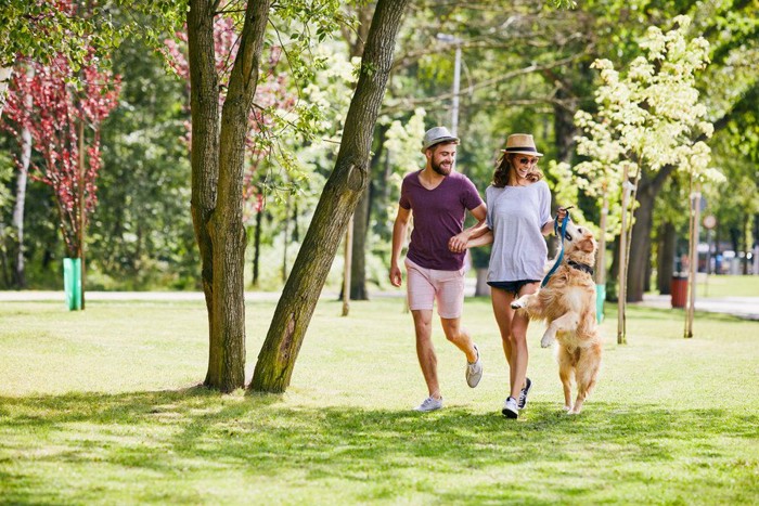 楽しそうに散歩する犬とカップル