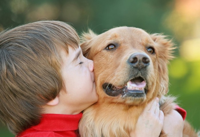 男の子と犬