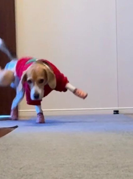 キレイに着地!!