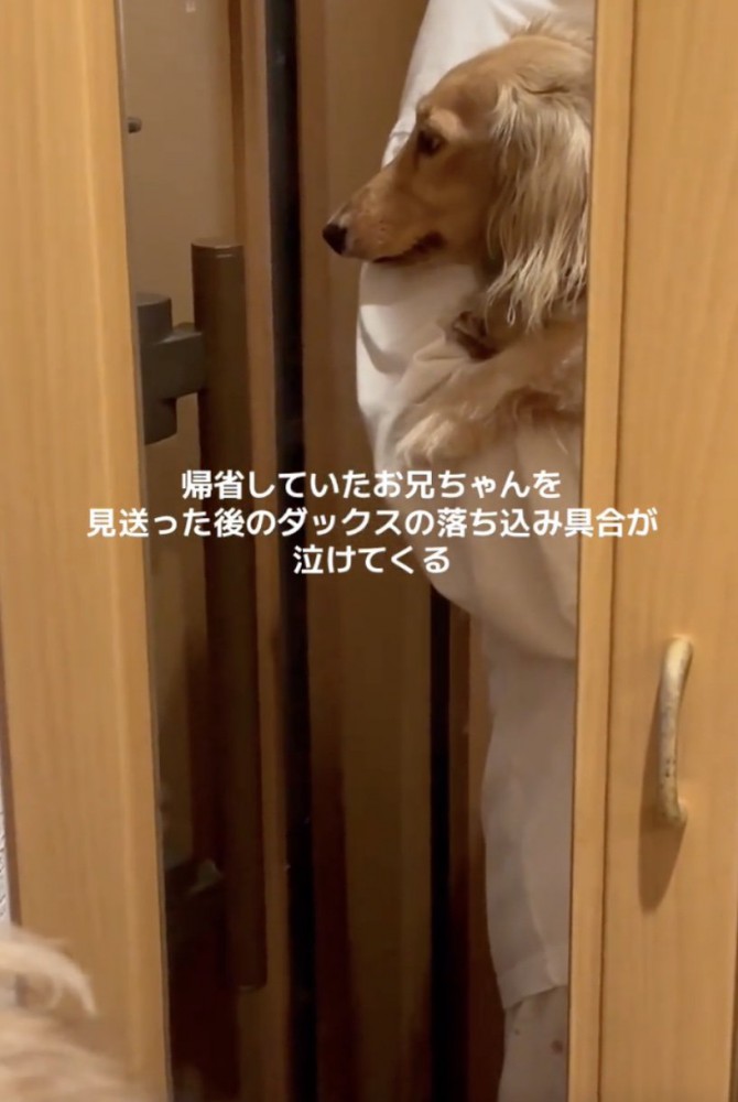 「さびしい…」