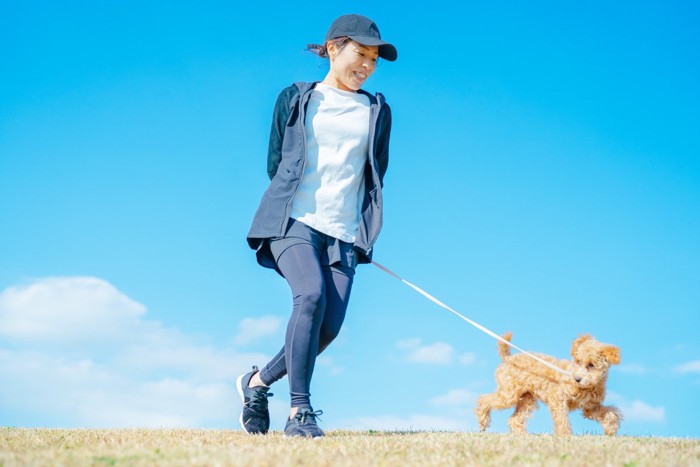 散歩する女性と犬