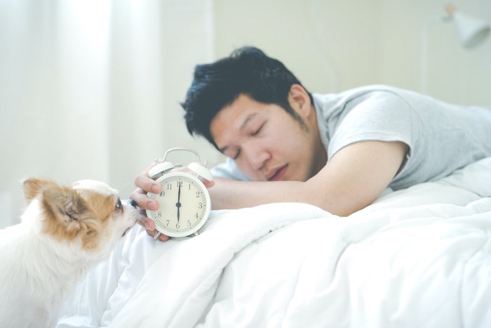 目覚まし時計を持つ眠そうな男性と犬