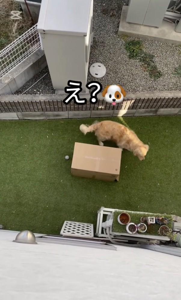 どこ？