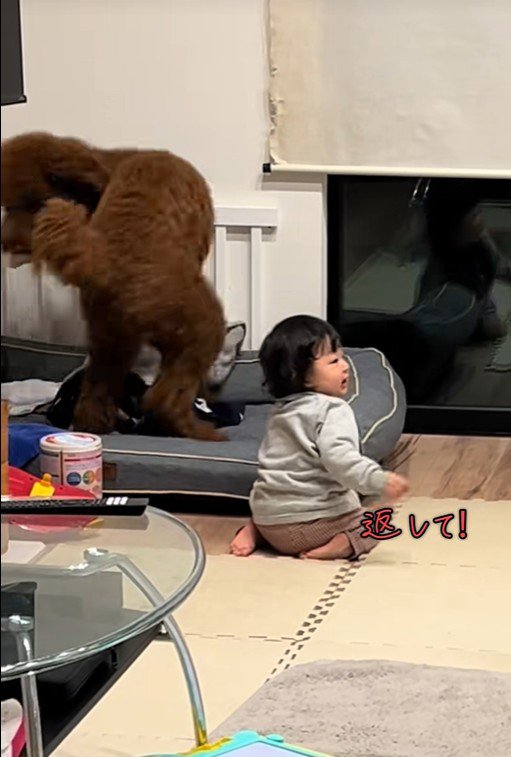 きんとん君VS男の子3