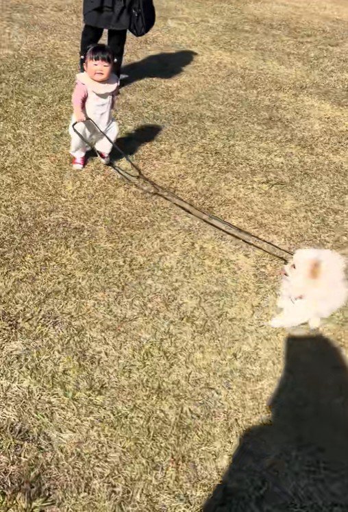 もち君と赤ちゃんのお散歩6