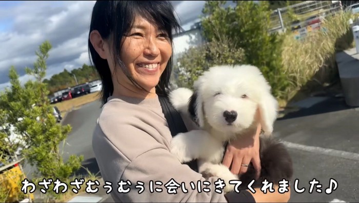 女性に抱かれる子犬