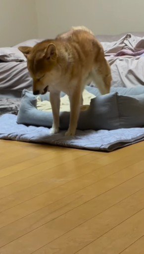 縦方向に伸び～