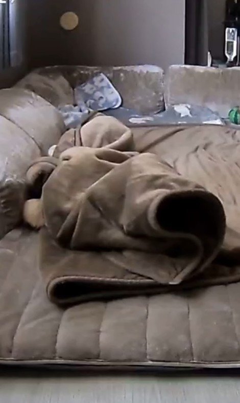 毛布に包まるころ君9