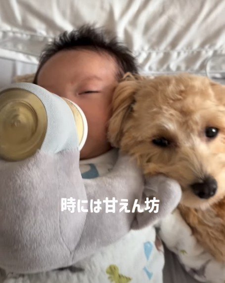 赤ちゃんに甘えることも♡