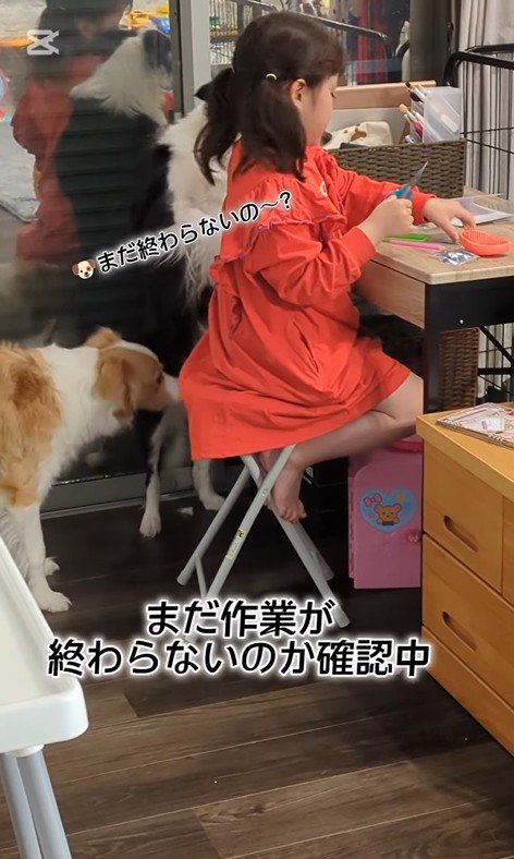 作業中のお姉ちゃんとアグちゃん7