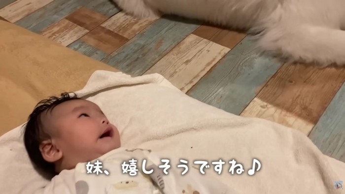 また来てくれた♡