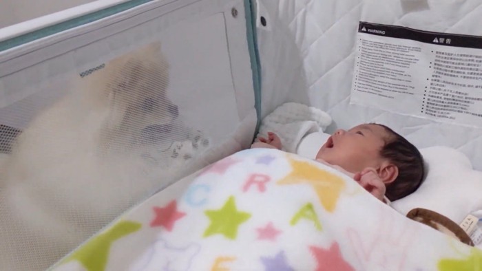 あやし続けるモチちゃん