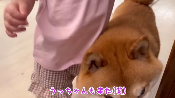 「ママ見つけた！」