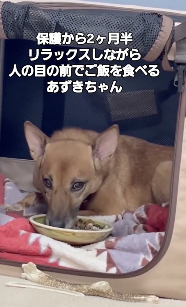 表情も柔らかく